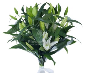 Bouquet of 7 lilies